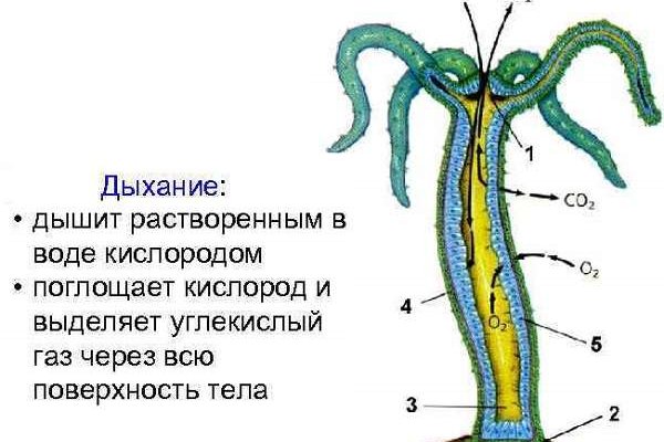 Кракен kr2link co